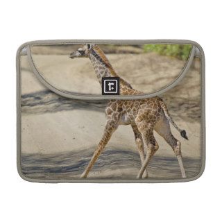Baby Giraffe all by itself Sleeves For MacBook Pro