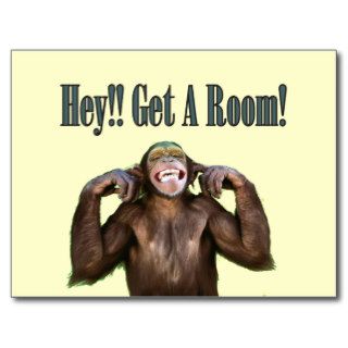 Slightly Less Funny Get A Room Monkey Joke Slogan Postcard
