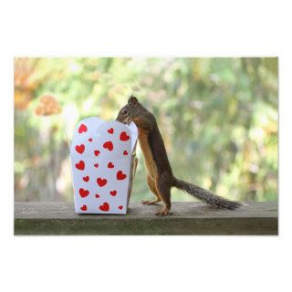 Squirrel Looking Inside Heart Box Photographic Print
