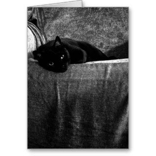 Black Cat Comfy Greeting Cards