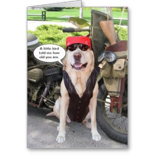 Funny Biker Pets Over the Hill Greeting Card