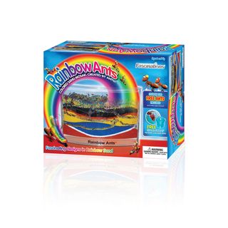 AntWorks Rainbow Ants Fascinations Other Games