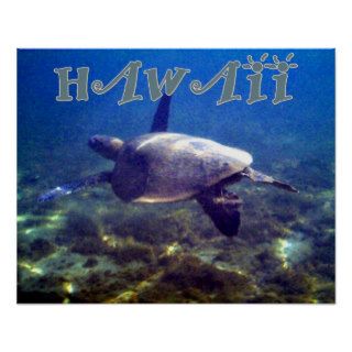 Hawaiian Honu Sea Turtle Print