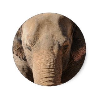 Asian Elephant Round Sticker