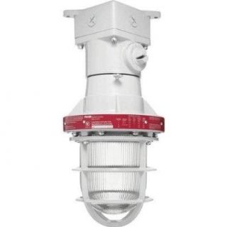 RAB Lighting EX124 3/4 Explosionproof Incandescent Ceiling with Guard, PS 25 Type, Aluminum, 300W Power, 4 Hubs, 3/4" Hub Close To Ceiling Light Fixtures