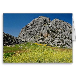Landscape near Ronda, Andalucia, Spain  flowers Greeting Card