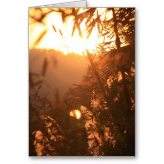 Golden Sunset/Photography Blank Card