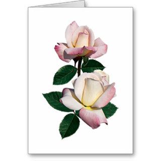 Pale Pink Rosebuds Variety Pristine Greeting Card