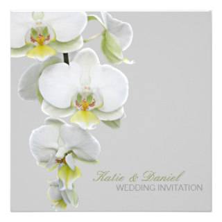 Elegant White Orchids Wedding/Any Occasion Invites