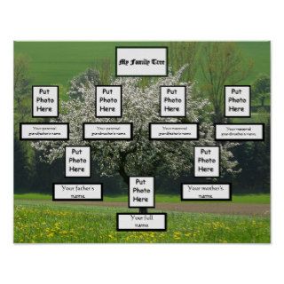 Blooming Apple Family Tree Posters