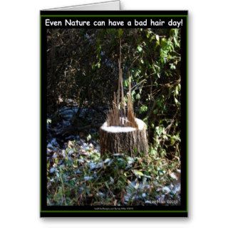 Even Nature Can Have A Bad Hair Day Gifts Apparel Greeting Cards