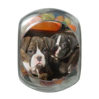 Boxer  dogs glass candy jar