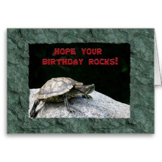 Happy Birthday, Turtle on Rock Greeting Cards