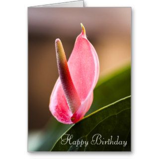 Happy Birthday  Flower Card