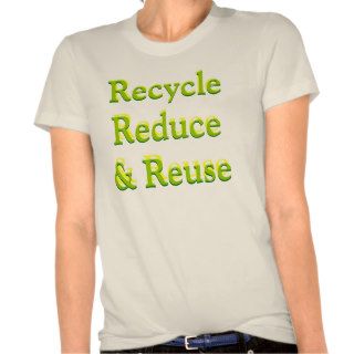 Ladies Organic Sustainable T  Shirt (Fitted)