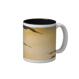 Sandhill Cranes (Grus canadensis) fly across the Mug