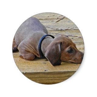 XX  Cute Puppy Dachsund Round Sticker