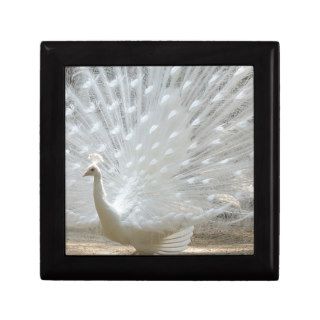 Peacock the animal kingdom 13289422 1024 768 Keepsake Box