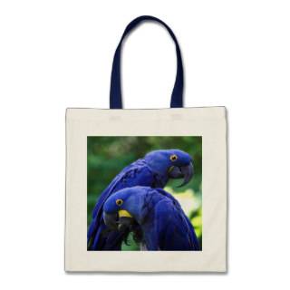 Hyacinth Macaws Canvas Bags
