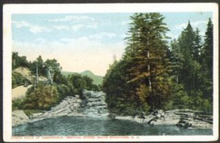 Lower Ammonoosuc Falls Bretton Woods NH postcard 191? Entertainment Collectibles