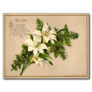 Vintage Easter Lily Postcard