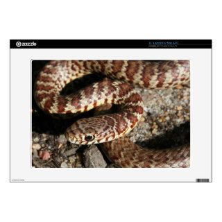 Angry Looking Snake Laptop Decal