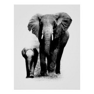 BW Elephant & Baby Elephant Poster