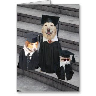 Funny Dog Graduation Greeting Card