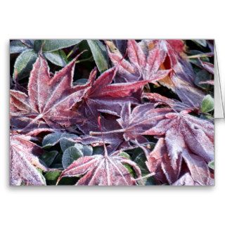 Frozen Leaves Greeting Cards