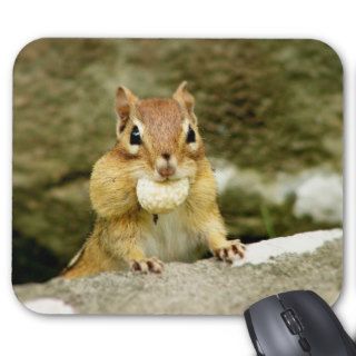 Hungry Little Chipmunk Mousepad