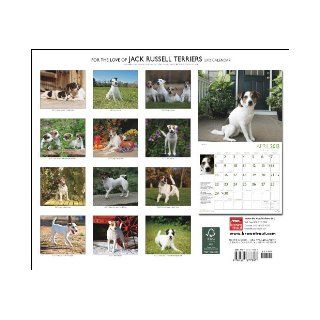 Jack Russell Terriers, For The Love Of 2012 Dlx Calendar (Multilingual Edition) BrownTrout Publishers Inc 9781421677897 Books