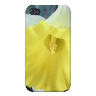 Yellow Flowers Daffodils Daffodil Flower Photo iPhone 4 Cover