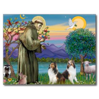 St Francis (W)   Two Shelties (D&L) Postcard