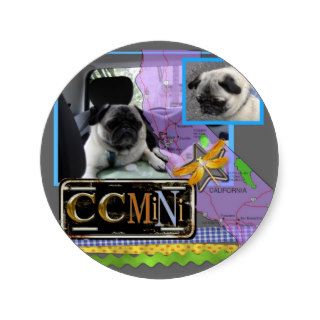 CC rides in mini cooper, stickers  hug a Pug
