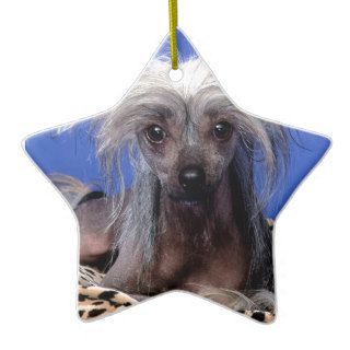 Dog Poppy Chinese Crested Christmas Tree Ornaments