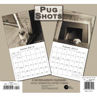 Pug Shots 2010 Wall Calendar DayDream 9780768899412 Books