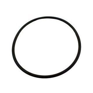Pentair American Products Eclipse Side Mount Sand Filter Lid O Ring 52000500  Swimming Training Aids  Patio, Lawn & Garden