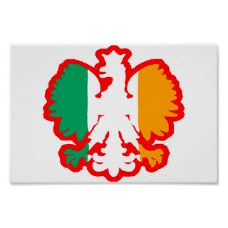 POLISH/IRISH FLAG POSTER