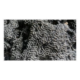 Black and White Coral Abstract Photography Print