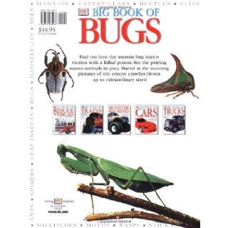Big Book of Bugs DK Publishing 9780789465207 Books