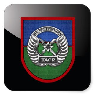 [500] TACP Beret Flash & Badge Square Stickers