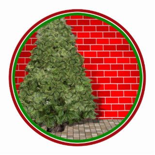 Undecorated Christmas Tree Cut Outs