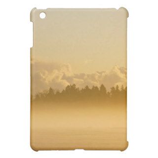 mist on the field during the winter iPad mini cover