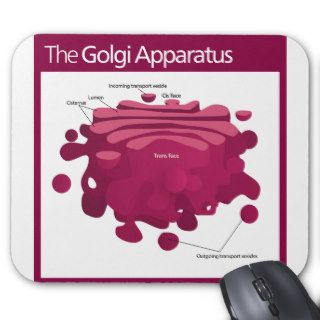 The Golgi apparatus Golgi complex Diagram Mouse Pad