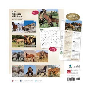 Mustangs Wild Horses Calendar (Multilingual Edition) Inc Browntrout Publishers 9781465013262 Books