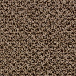 Martha Stewart Living Mount Vernon   Color Chocolate Truffle 12 ft. Carpet 896HDMS221