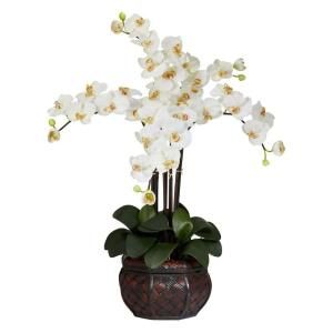 31.0 in. H Cream Phalaenopsis with Decorative Vase Silk Flower Arrangement 1211 CR