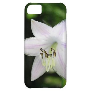 White Hosta Flower iPhone 5C Cases