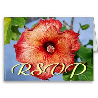 RSVP Mahogany Star Hibiscus Greeting Cards