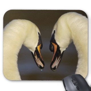 Mute Swan Pair During Their Courtship Ritual Mouse Pad